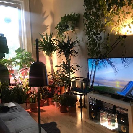Апартаменты Urban Jungle Oasis In Queens! Нью-Йорк Экстерьер фото