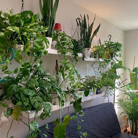 Апартаменты Urban Jungle Oasis In Queens! Нью-Йорк Экстерьер фото