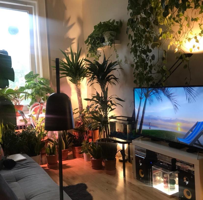 Апартаменты Urban Jungle Oasis In Queens! Нью-Йорк Экстерьер фото