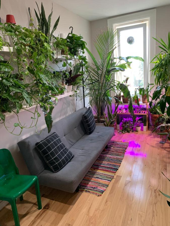 Апартаменты Urban Jungle Oasis In Queens! Нью-Йорк Экстерьер фото