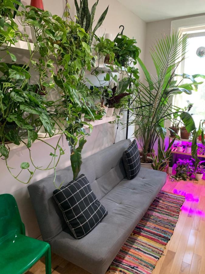 Апартаменты Urban Jungle Oasis In Queens! Нью-Йорк Экстерьер фото