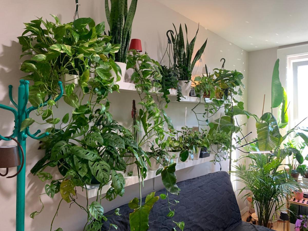 Апартаменты Urban Jungle Oasis In Queens! Нью-Йорк Экстерьер фото