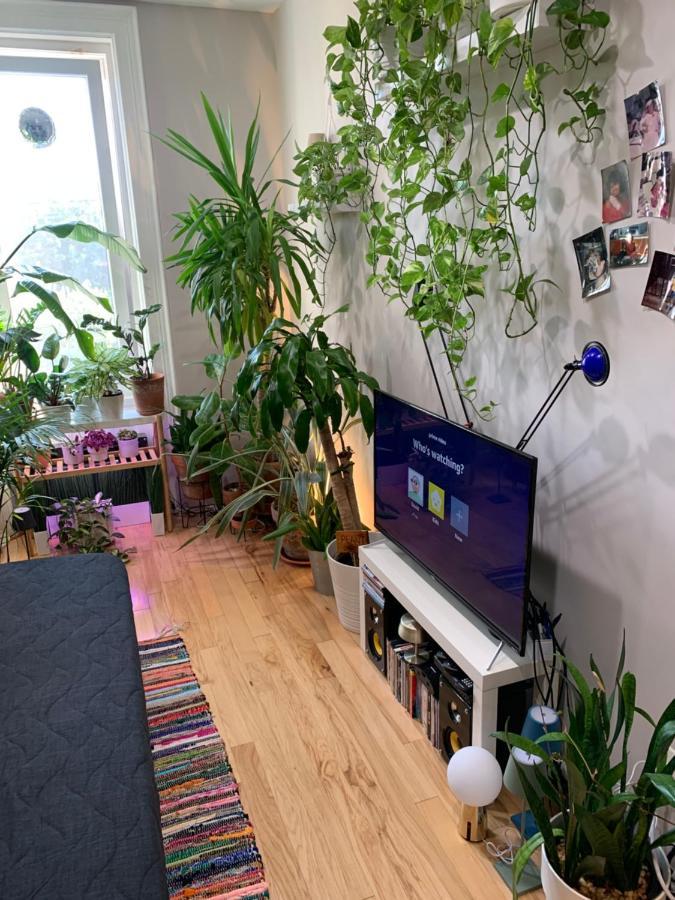 Апартаменты Urban Jungle Oasis In Queens! Нью-Йорк Экстерьер фото